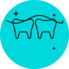 08 periodoncia